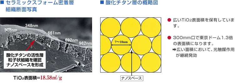 セラミックスフォーム密着層組織断面写真/酸化チタン層の概略図 